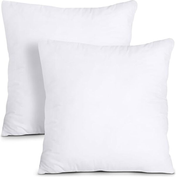 Pack of 2 Bed and Couch Pillows